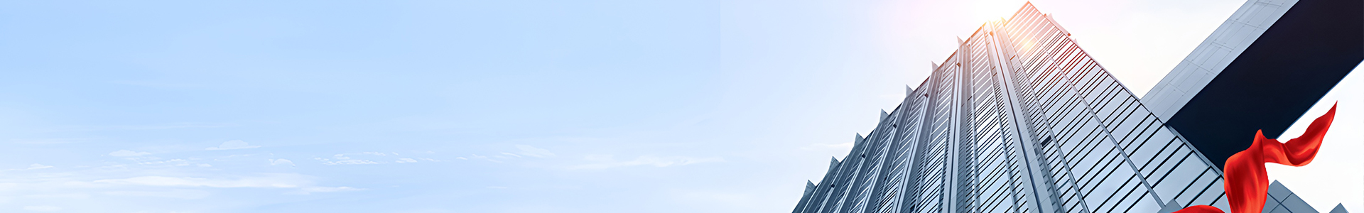 ny_banner1